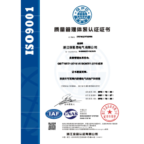 ISO9001证书中文Q带标